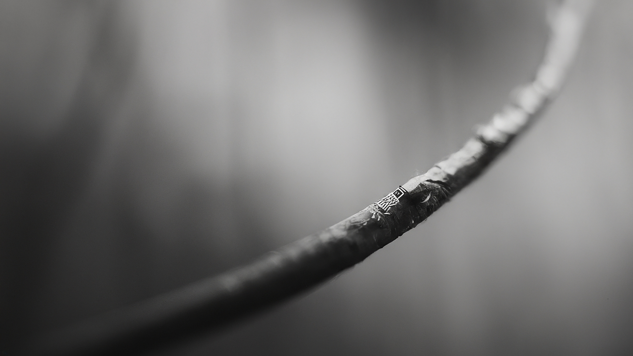 ИИ инструменты для криптотрейдинга